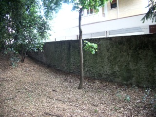laghetto cittadino